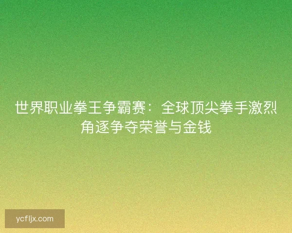 世界职业拳王争霸赛：全球顶尖拳手激烈角逐争夺荣誉与金钱