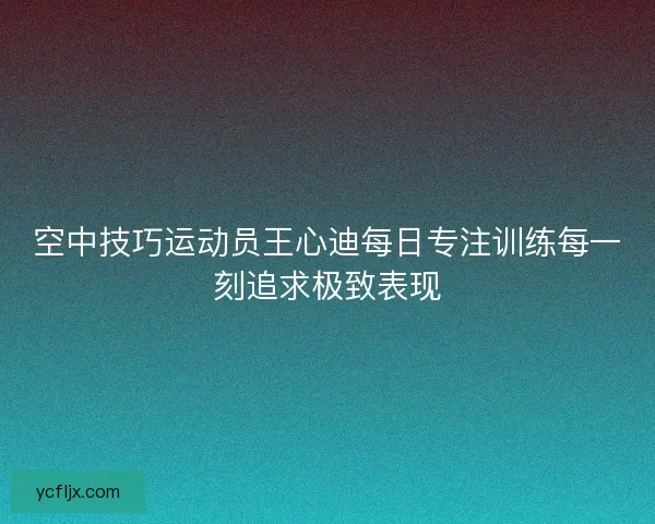 空中技巧运动员王心迪每日专注训练每一刻追求极致表现 空中技巧运动员王心迪每日专注训练每一刻追求极致表现