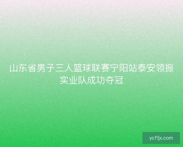 山东省男子三人篮球联赛宁阳站泰安领振实业队成功夺冠